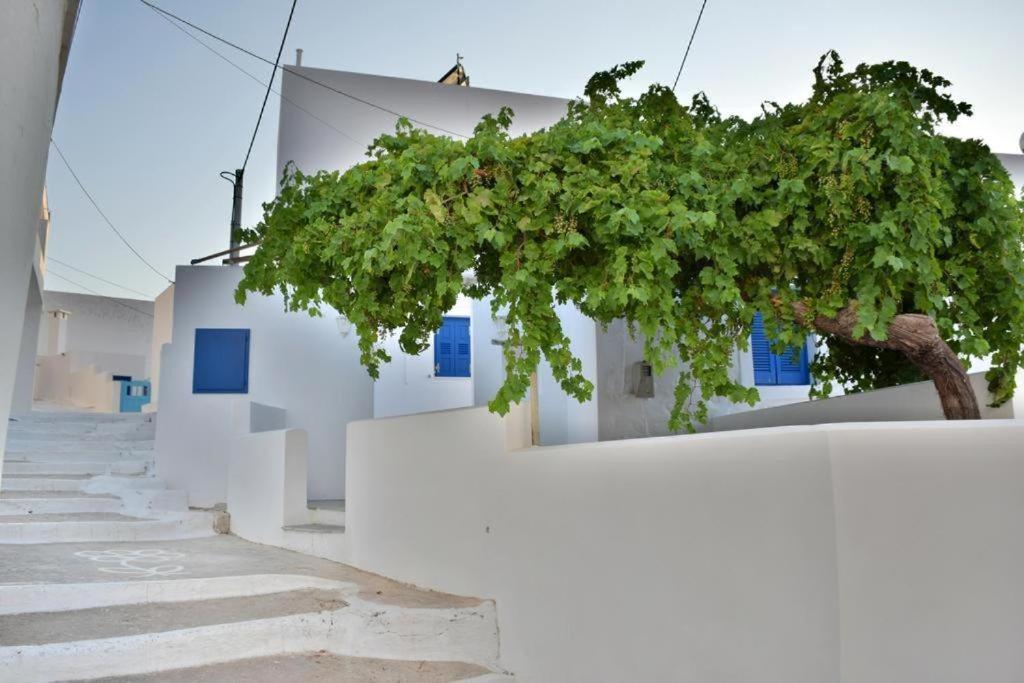 Anatoli Rooms Aegiali Exterior photo